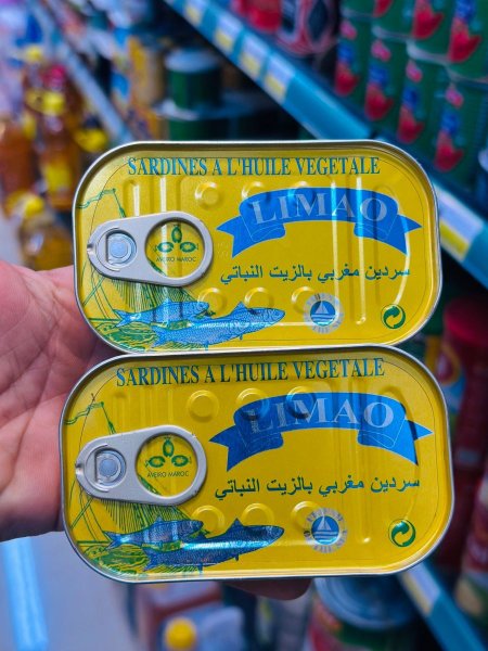 سردين مغربي